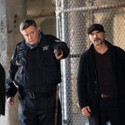 Chicago P.D. - galeria zdjęć - filmweb