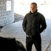 Chicago P.D. - galeria zdjęć - filmweb