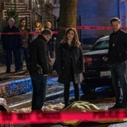 Chicago P.D. - galeria zdjęć - filmweb