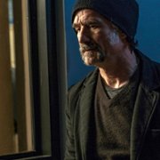 Chicago P.D. - galeria zdjęć - filmweb