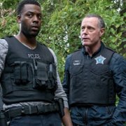 Chicago P.D. - galeria zdjęć - filmweb