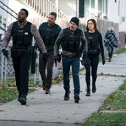 Chicago P.D. - galeria zdjęć - filmweb