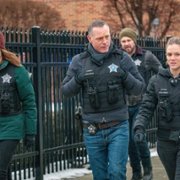 Chicago P.D. - galeria zdjęć - filmweb