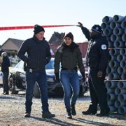 Chicago P.D. - galeria zdjęć - filmweb