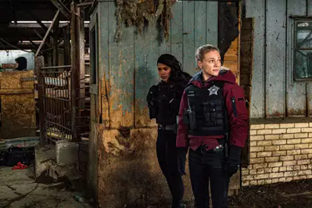 Chicago P.D. - galeria zdjęć - filmweb