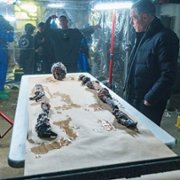 Chicago P.D. - galeria zdjęć - filmweb
