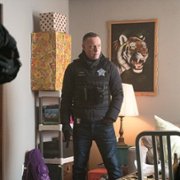 Chicago P.D. - galeria zdjęć - filmweb