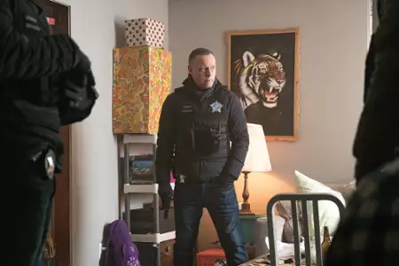 Chicago P.D. - galeria zdjęć - filmweb
