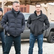 Chicago P.D. - galeria zdjęć - filmweb