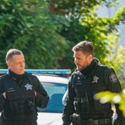 Chicago P.D. - galeria zdjęć - filmweb