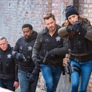 Chicago P.D. - galeria zdjęć - filmweb