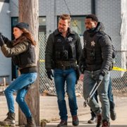 Chicago P.D. - galeria zdjęć - filmweb