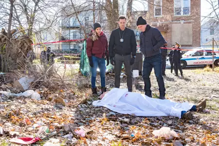 Chicago P.D. - galeria zdjęć - filmweb