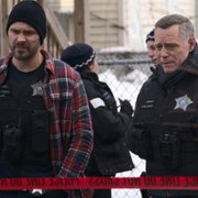 Chicago P.D. - galeria zdjęć - filmweb