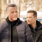 Chicago P.D. - galeria zdjęć - filmweb