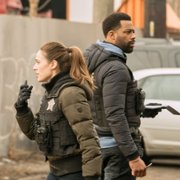 Chicago P.D. - galeria zdjęć - filmweb