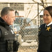 Chicago P.D. - galeria zdjęć - filmweb