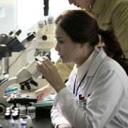 Yeon-ga-si - galeria zdjęć - filmweb