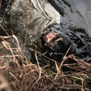 Yeon-ga-si - galeria zdjęć - filmweb