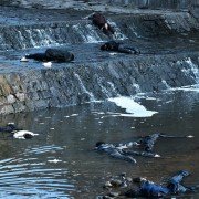 Yeon-ga-si - galeria zdjęć - filmweb