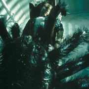 Pająki 2 - galeria zdjęć - filmweb