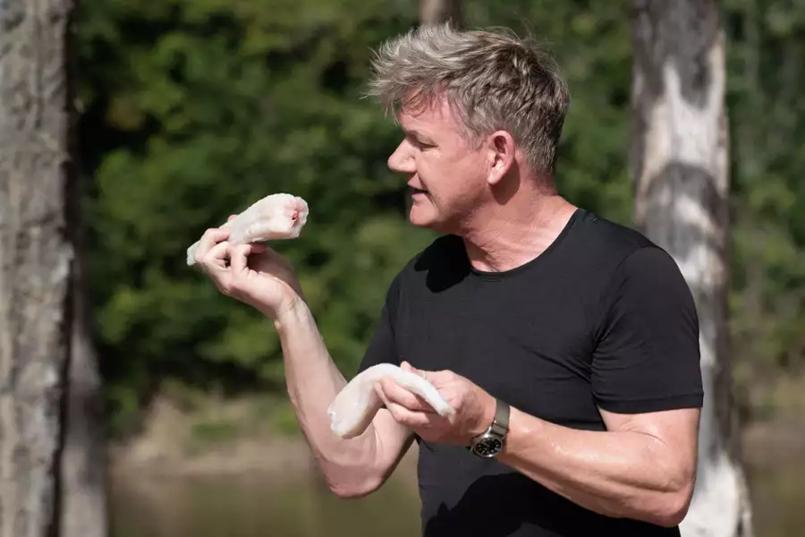 Gordon Ramsay: Świat na talerzu - galeria zdjęć - filmweb