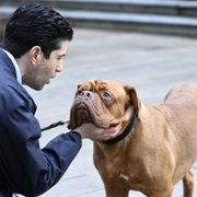 Turner & Hooch - galeria zdjęć - filmweb