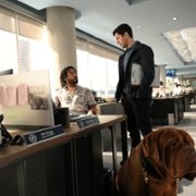 Turner & Hooch - galeria zdjęć - filmweb