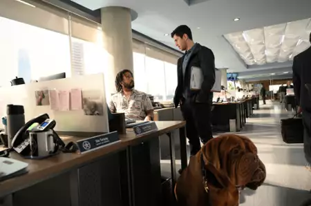 Turner i Hooch - galeria zdjęć - filmweb