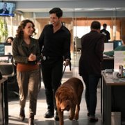 Turner & Hooch - galeria zdjęć - filmweb