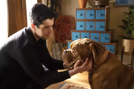 Turner i Hooch - galeria zdjęć - filmweb