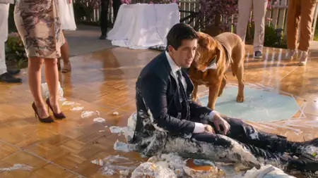 Turner i Hooch - galeria zdjęć - filmweb