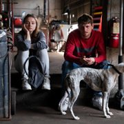 Prawo dżungli - galeria zdjęć - filmweb