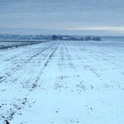 A Csendesek - galeria zdjęć - filmweb