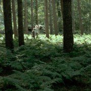 Spokojni - galeria zdjęć - filmweb