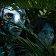 Avatar: Istota wody - galeria zdjęć - filmweb