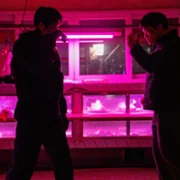 Mudosilmugwan - galeria zdjęć - filmweb