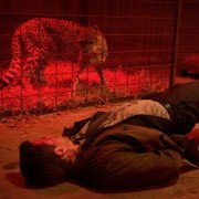 Zabójcy bażantów - galeria zdjęć - filmweb
