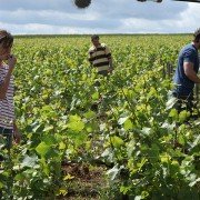 Nasz najlepszy rok - galeria zdjęć - filmweb