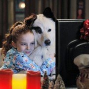 Dog with a Blog - galeria zdjęć - filmweb