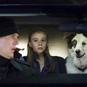 Dog with a Blog - galeria zdjęć - filmweb