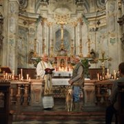 The Truffle Hunters - galeria zdjęć - filmweb