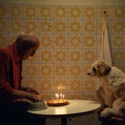 The Truffle Hunters - galeria zdjęć - filmweb