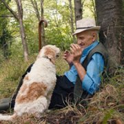 The Truffle Hunters - galeria zdjęć - filmweb