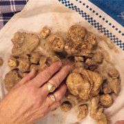 The Truffle Hunters - galeria zdjęć - filmweb