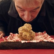 The Truffle Hunters - galeria zdjęć - filmweb