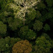 Il était une forêt - galeria zdjęć - filmweb