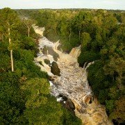 Il était une forêt - galeria zdjęć - filmweb