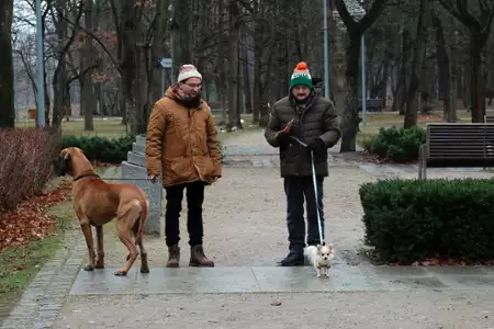 Piękni i bezrobotni - galeria zdjęć - filmweb