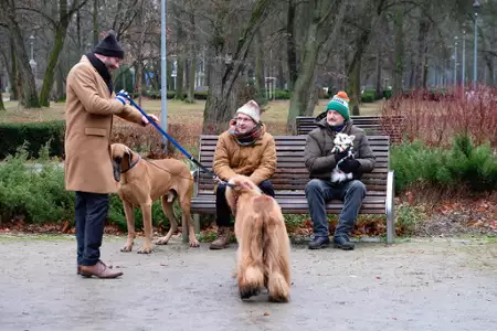 Piękni i bezrobotni - galeria zdjęć - filmweb